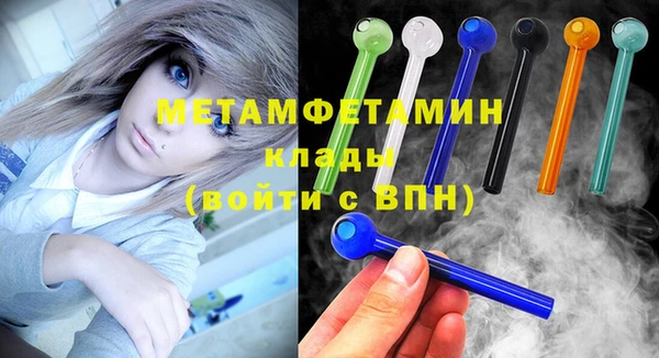 прущие грибы Заводоуковск