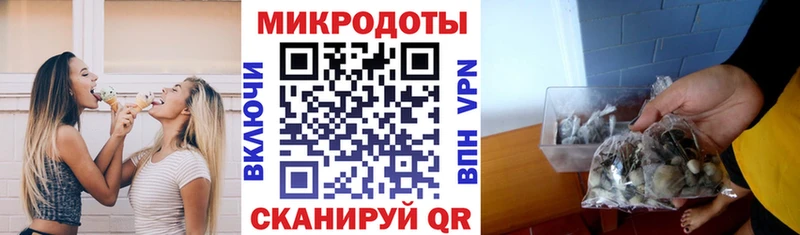 Псилоцибиновые грибы мицелий  Лесной 