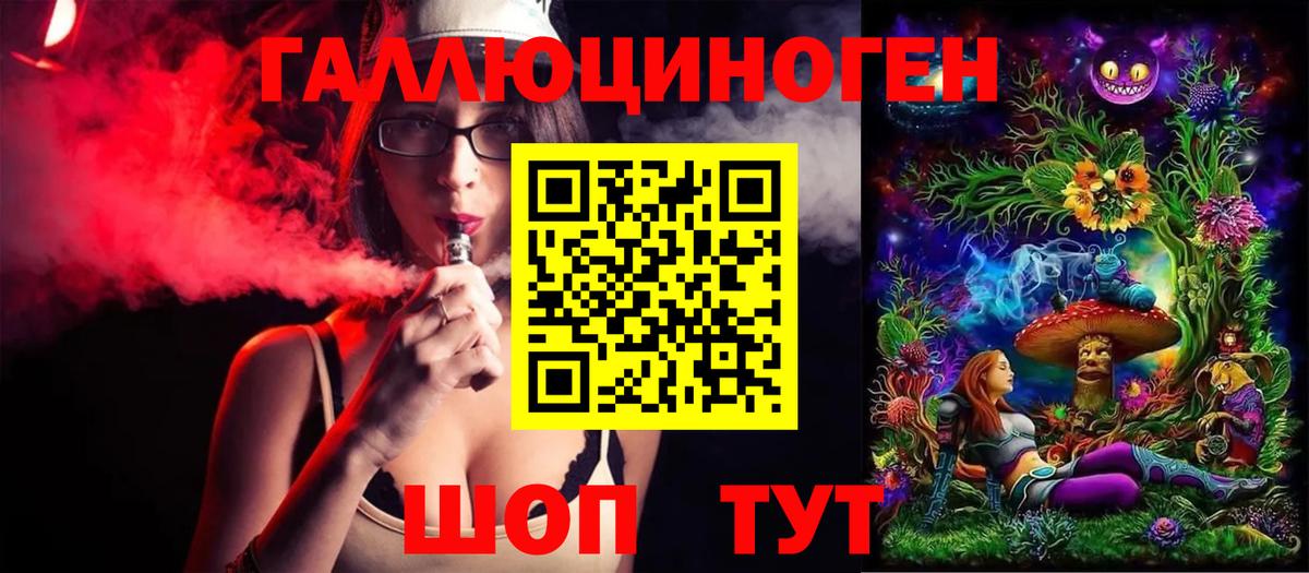 Псилоцибиновые грибы Psilocybe  Вход с VPN  Лесной 