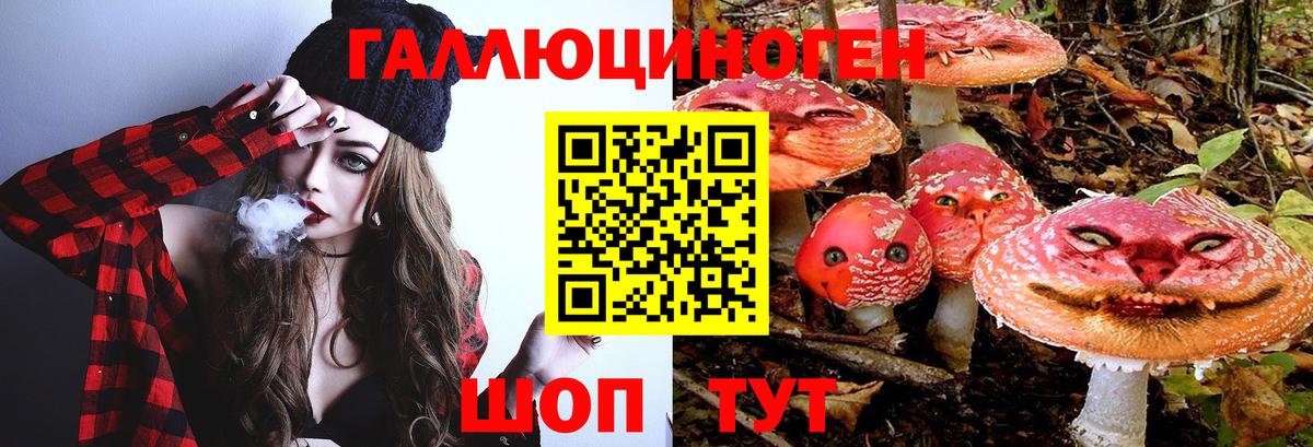 Галлюциногенные грибы прущие грибы Лесной
