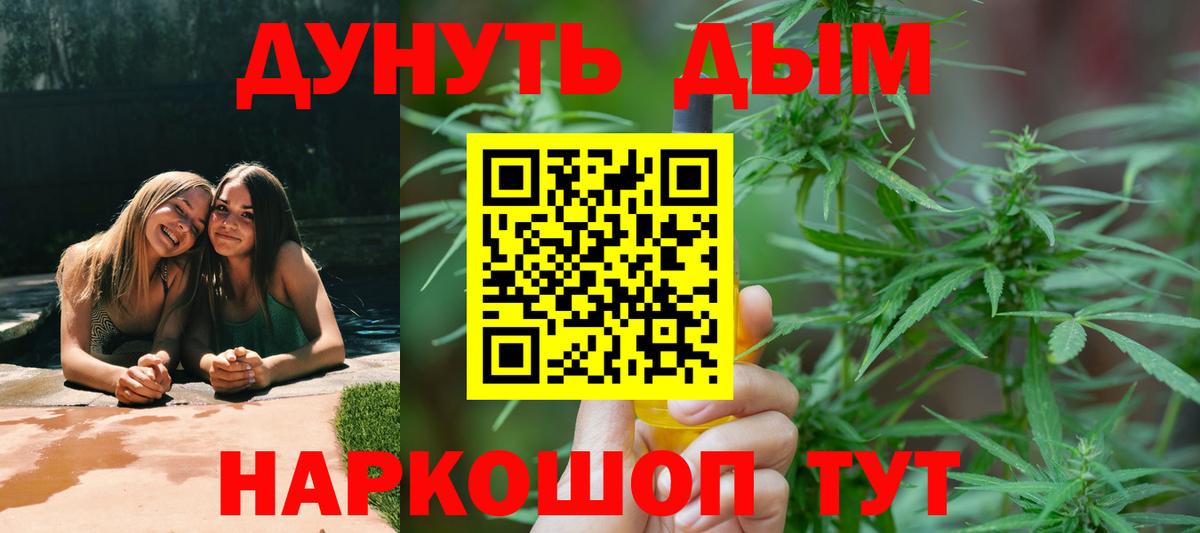 Конопля конопля  Шишки марихуана OG Kush  Лесной  Вход с VPN  Конопля план 